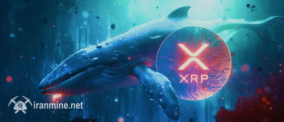 نهنگهای ریپل با خرید ۳۴۰ میلیون نشان XRP دوباره به بازار برگشتند | ایران ماین