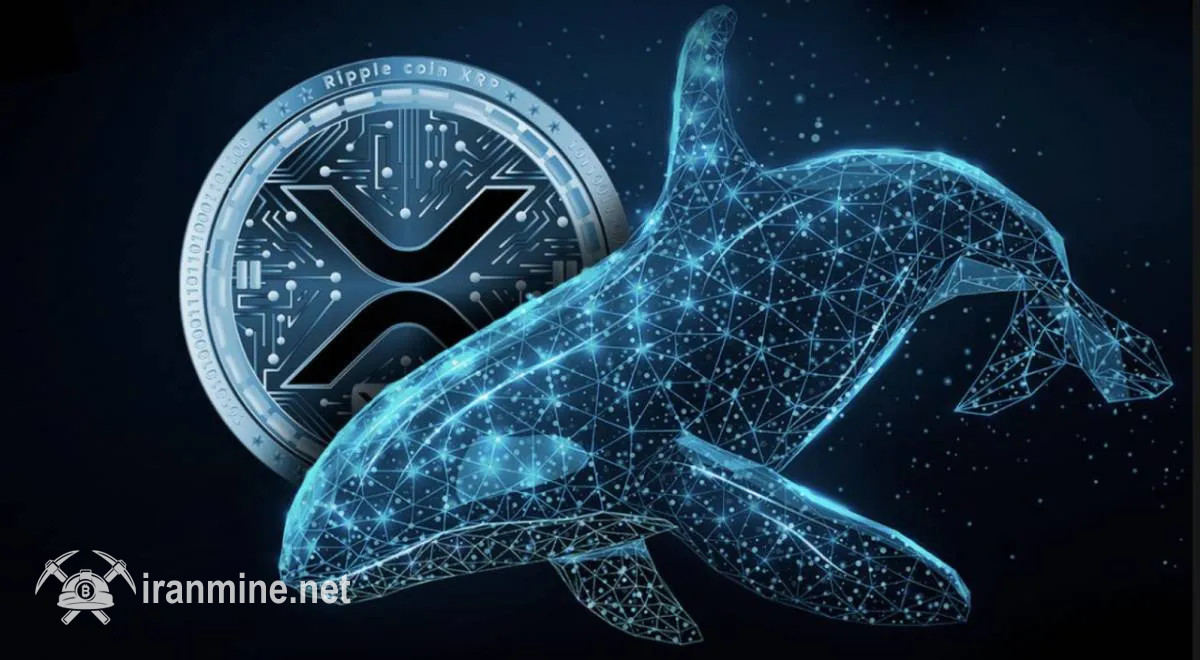 بالا رفتن فعالیت نهنگها و احتمال جهش نرخ ریپل (XRP) | ایران ماین