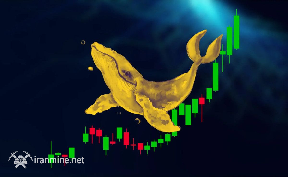 توسعه ۷۸ درصدی نرخ نشان ترامپ در یک ماه اخیر با بالا رفتن خرید نهنگها | ایران ماین