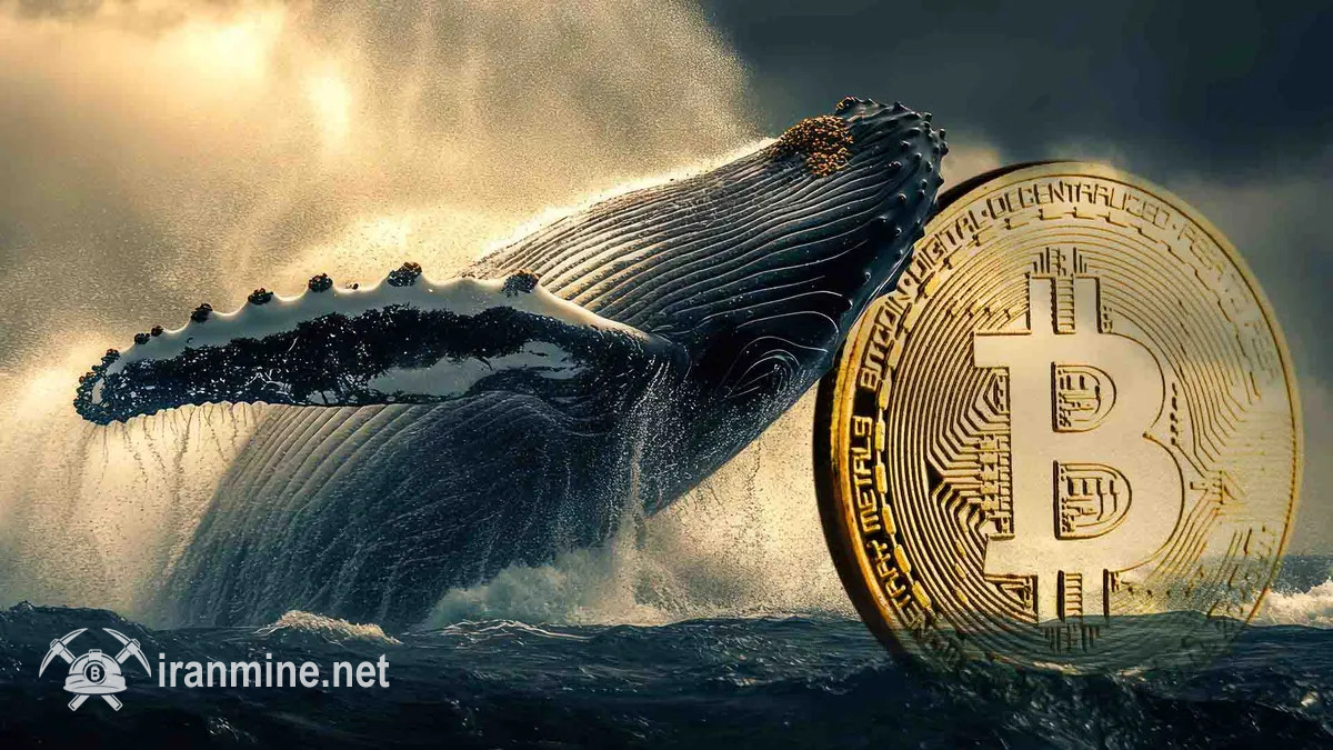 جابجایی حجم بالای بیت‌ کوین توسط دو نهنگ بزرگ به بازارهای معاملاتی | ایران ماین