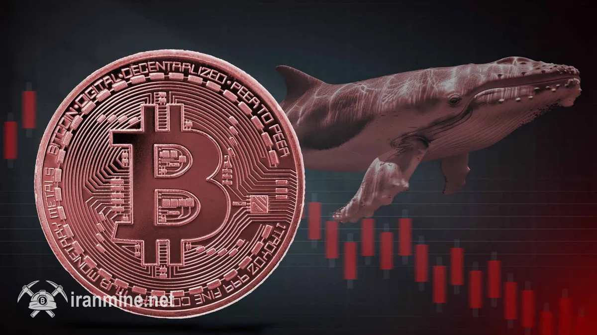 هشدار نهنگ معروف صرافی هایپرلیکویید: سقوط بزرگ بیت‌ کوین و بازار بورس در راه است! | ایران ماین
