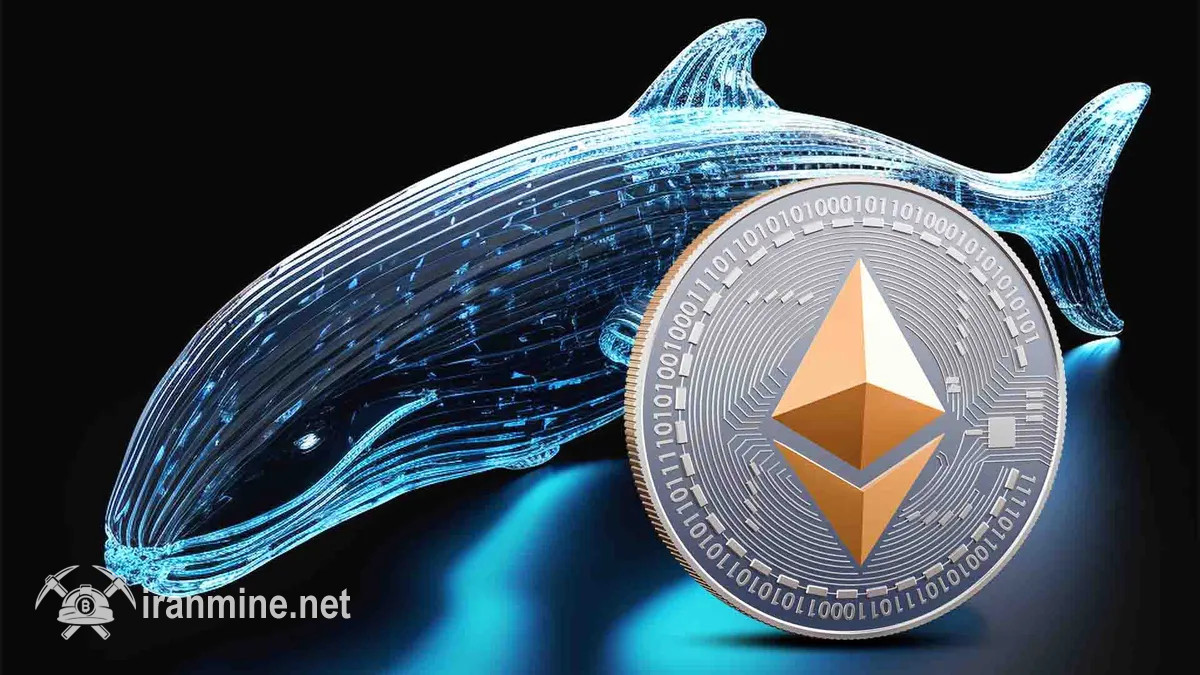 بالا رفتن شدید حجم سفارش‌های اتریوم توسط نهنگ‌ها | ایران ماین