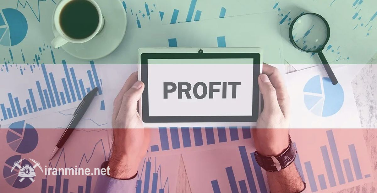 بهترین گزینه‌های سرمایه‌گذاری در شرایط کنونی ایران؛ کدام بازار سود بیشتری دارد؟ | ایران ماین