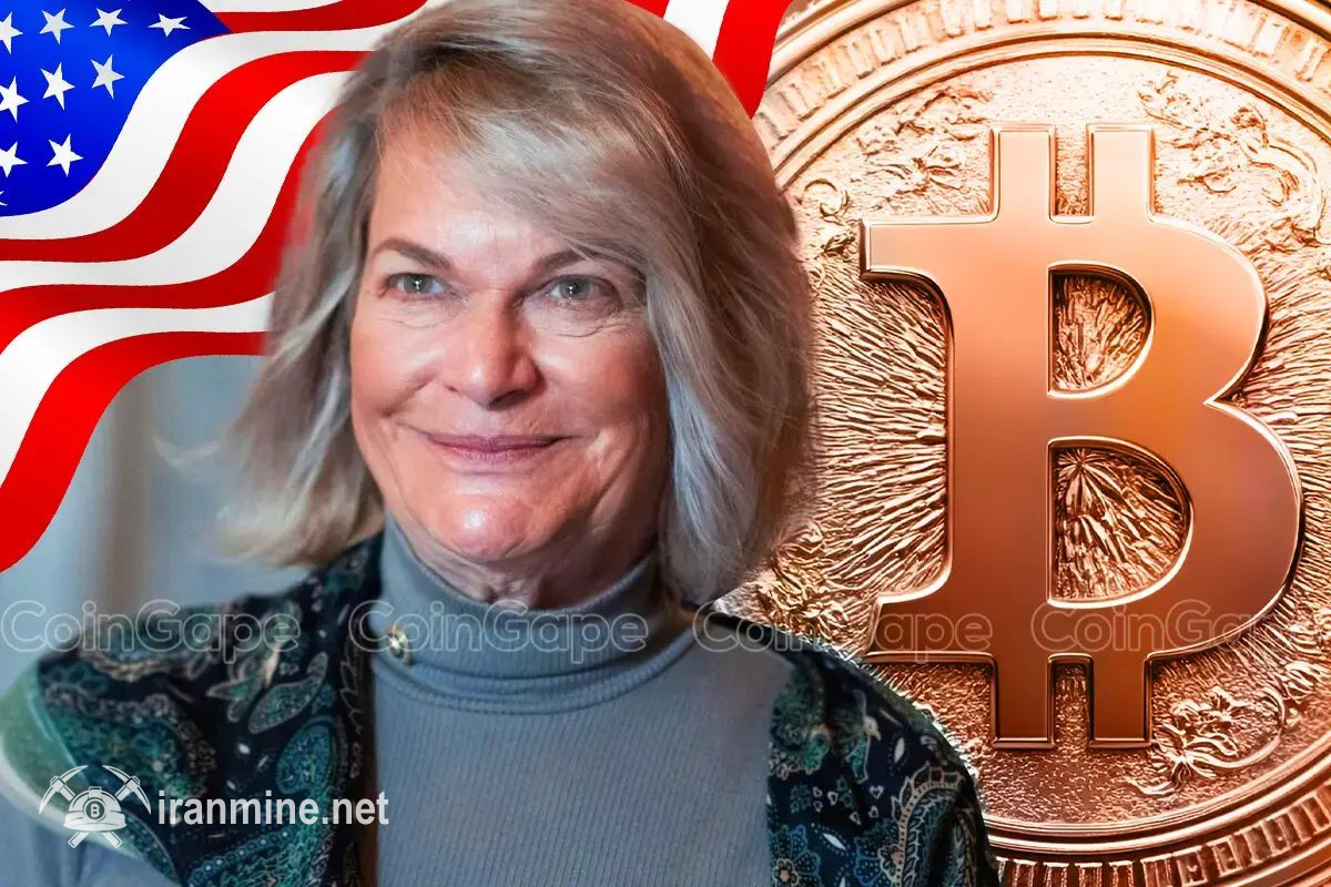 پشتیبانی گسترده از سناتور سینتیا لومیس پس از اعلام عدم کمپانی در انتخابات ۲۰۲۶ | ایران ماین