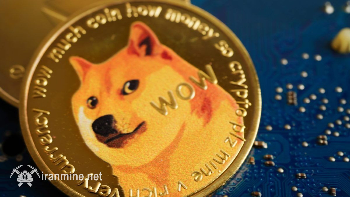 سقوط ۷۵ درصدی نرخ دوج کوین از بالاترین نقطه در سال ۲۰۲۵ | ایران ماین