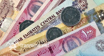 بهای ارزهای عربی در بازار امروز ۱۷دی/ دینار عراق گران شد، ریال عمان تغییر کانال داد | ایران ماین