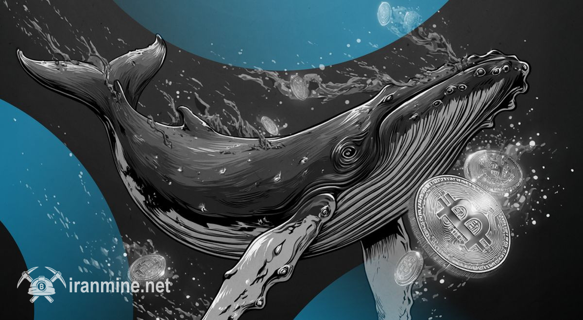 لیکوئید شدن ۸.۲ میلیون دلاری یک نهنگ در صرافی لایتر؛ شوک در بازار مشتقات بدون مرکزیت | ایران ماین