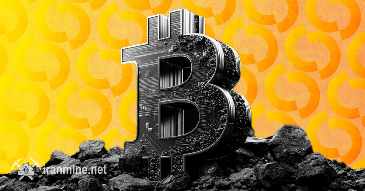 یک نهنگ بیت کوین پس از ضرر ۹ میلیون دلاری، روی توسعه سهام تسلا شرط بست | ایران ماین