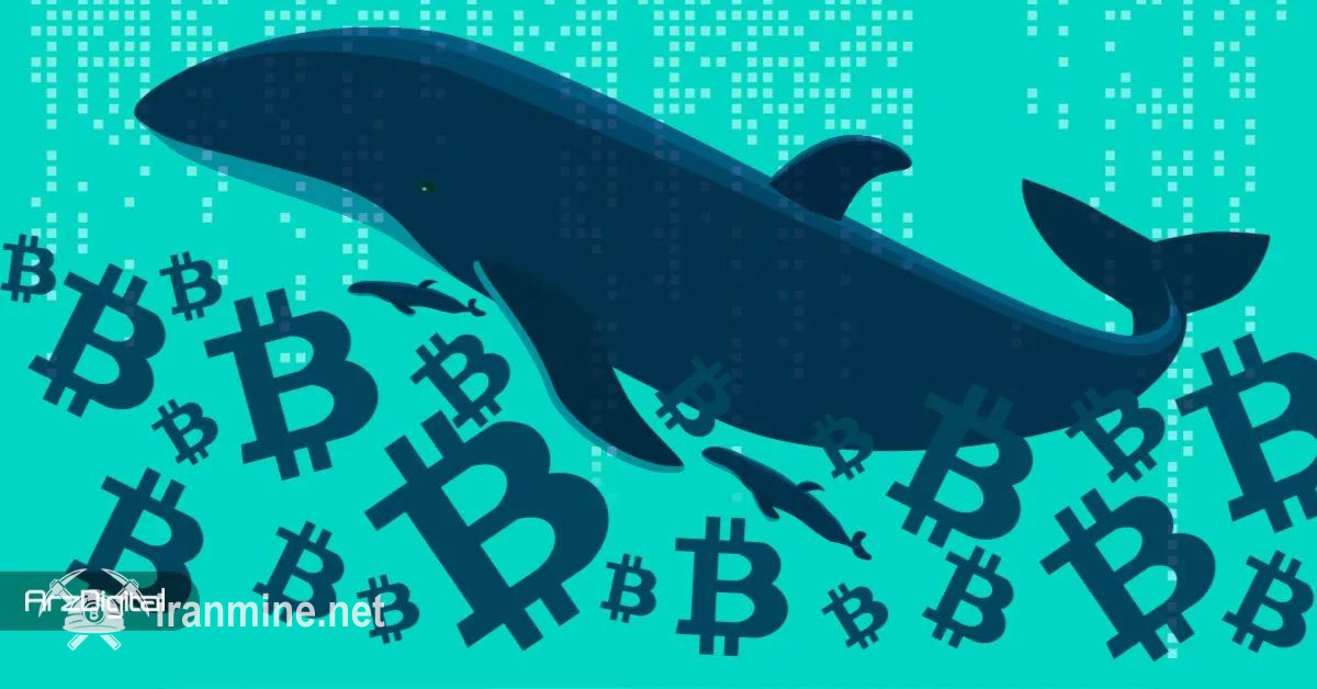 احتمال فروش بیت‌ کوین توسط سرمایه‌گذاران خرد؛ نهنگ‌ها فعلا عقب نشسته‌اند | ایران ماین